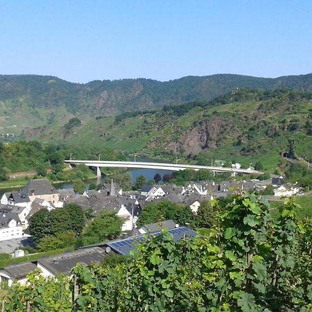 Ferienhaus Treis Neef Kültér fotó